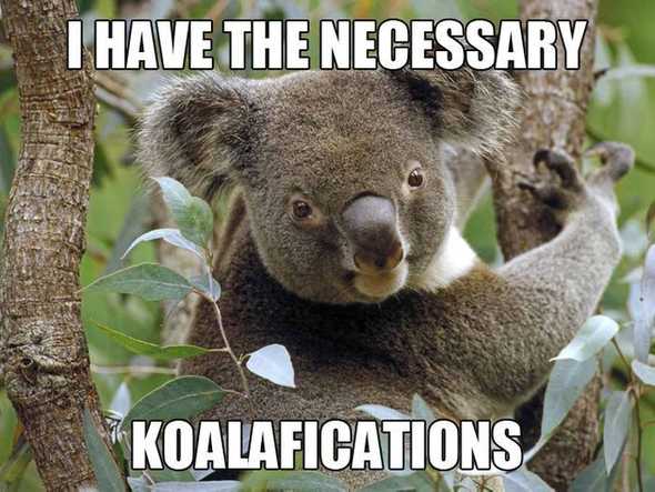 koalafications